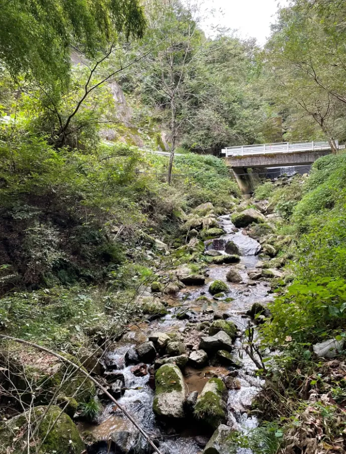 長野県内発生土置き場下流水路調査及び単点測量